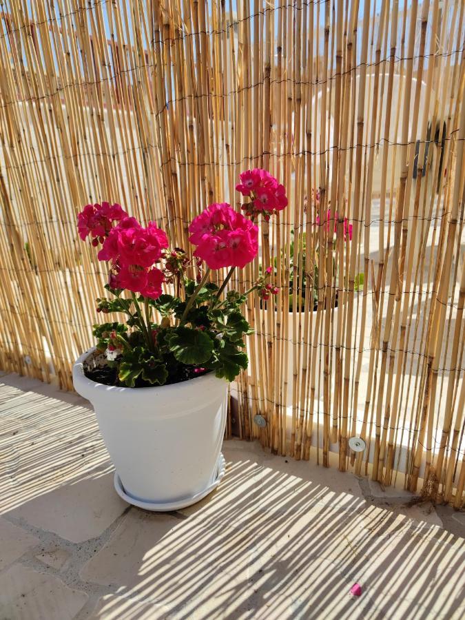 Broom House ซานโฟกา ภายนอก รูปภาพ