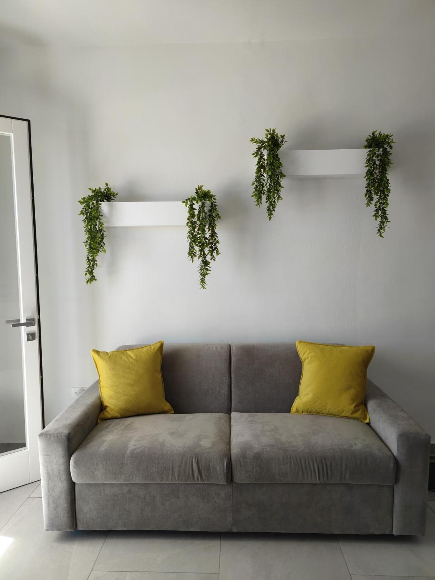 Broom House ซานโฟกา ภายนอก รูปภาพ
